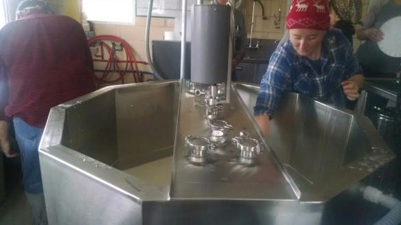 Hooping feta in the giant vat.